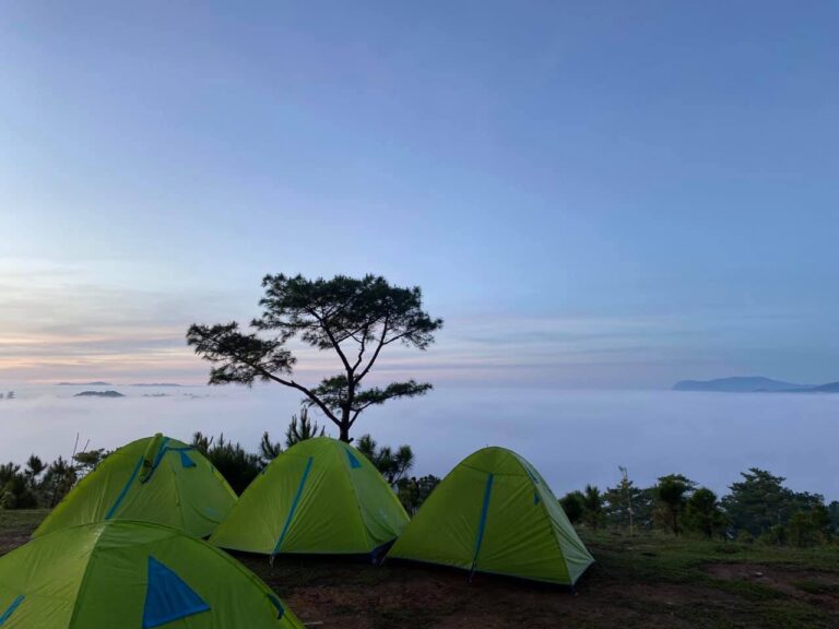 Cắm trại tại Đà Lạt đẹp